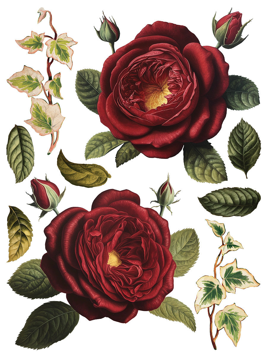 Collage De Fleurs Transfer by IOD with vintage roses, buds, and ivy; I.O.D. brand.