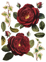 Collage De Fleurs Transfer by IOD with vintage roses, buds, and ivy; I.O.D. brand.