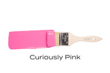 Paintbrush with CUREiously Pink Fusion Mineral Paint on bristles and handle, labeled below.