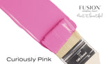 Paintbrush with CUREiously Pink (Limited Release) Fusion Mineral Paint on a plain white background.