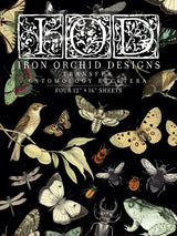 Entomology Etcetera Decor Transfer by IOD - Iron Orchid Designs @ Painted Heirloom