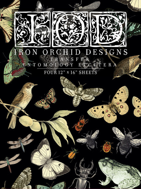 Entomology Etcetera Decor Transfer by IOD - Iron Orchid Designs @ Painted Heirloom