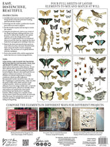 Entomology Etcetera Decor Transfer by IOD - Iron Orchid Designs @ Painted Heirloom