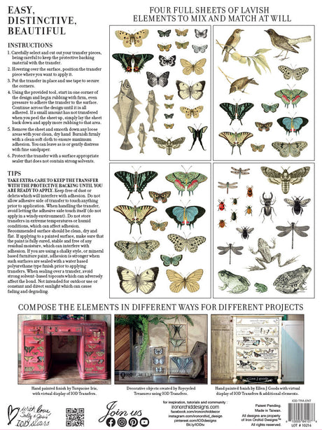 Entomology Etcetera Decor Transfer by IOD - Iron Orchid Designs @ Painted Heirloom
