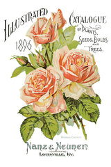 Ephemeral Melange Transfer Set by IOD - Iron Orchid Designs @ Painted Heirloom