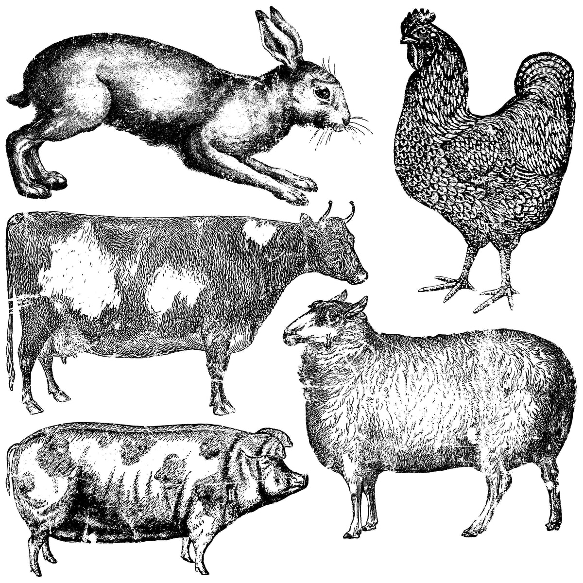 Black and white farm animal illustrations for I.O.D. Farm Animals Stamp by Iron Orchid Designs projects.