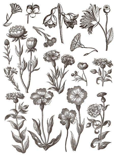 Black and white floral illustration with blooms and leaves, inspired by IOD Retired Floriography Paint Inlay.