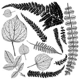 Black and white botanical art with Fronds Stamp by IOD Iron Orchid Designs on a white background.