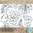 I.O.D. Grapes Stamp (Retired) by Iron Orchid Designs featuring black outline grape cluster designs on silicone.