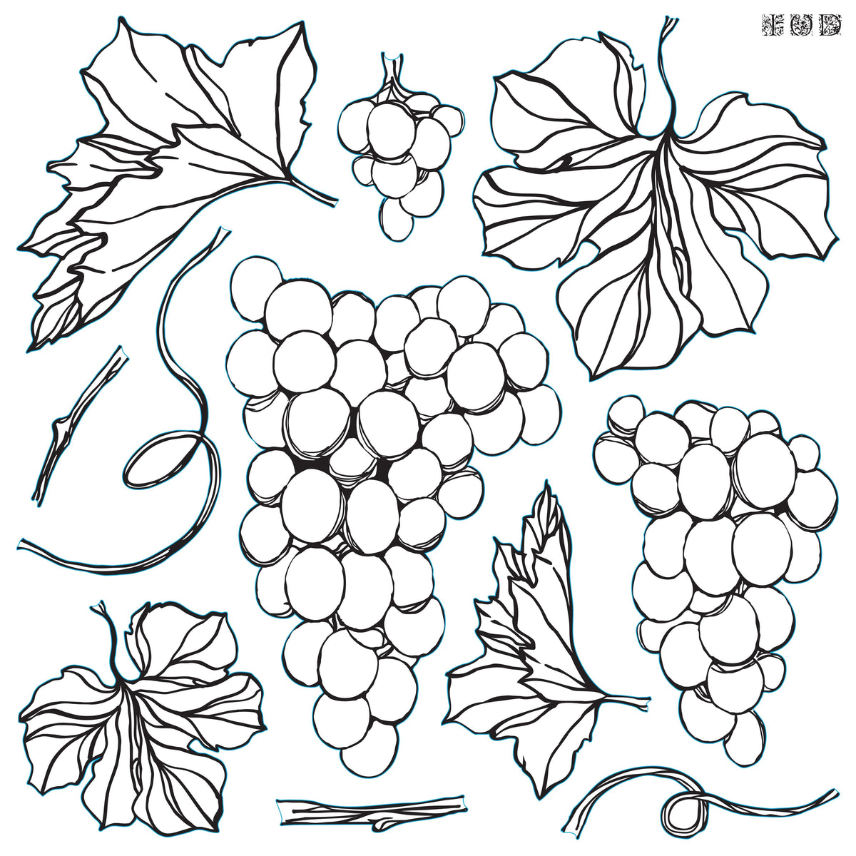 Black and white line art of a grape cluster from the retired I.O.D. Iron Orchid Designs Grapes Stamp.