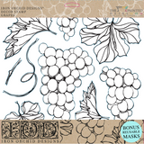 Grapes Decor Stamp by IOD - Iron Orchid Designs @ Painted Heirloom