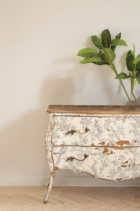 Distressed dresser with IOD Grisaille Toile Paint Inlay and wood top, shown with leafy plant.
