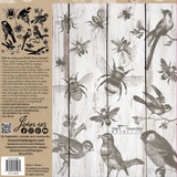 I.O.D. Birds and Bees Stamp by IOD - Iron Orchid Designs Spring 2023 @ The Painted Heirloom