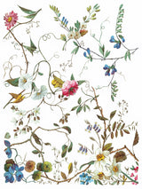 Lost Garden Transfer by IOD - Iron Orchid Designs