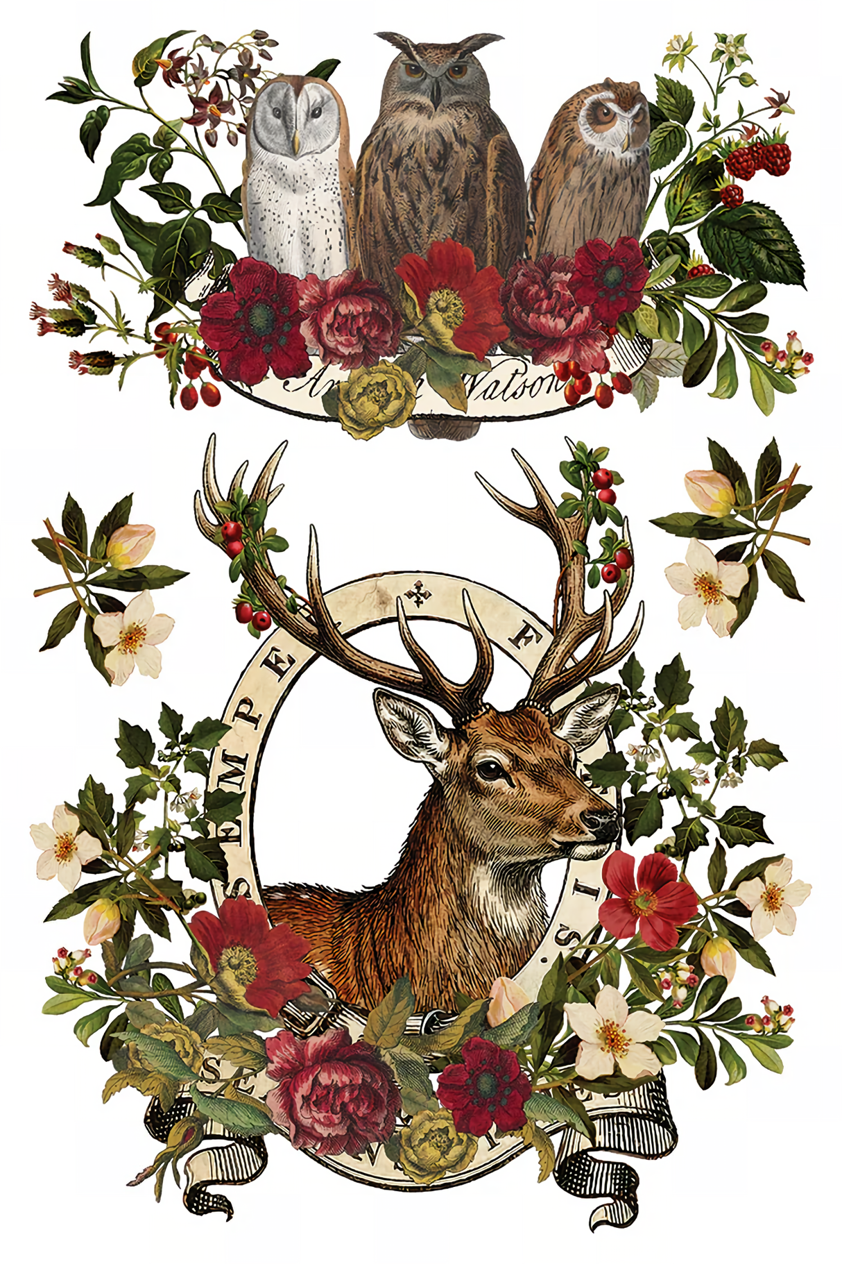 Stag Tavern (2026 Limited Release) Transfer by IOD - Iron Orchid Designs