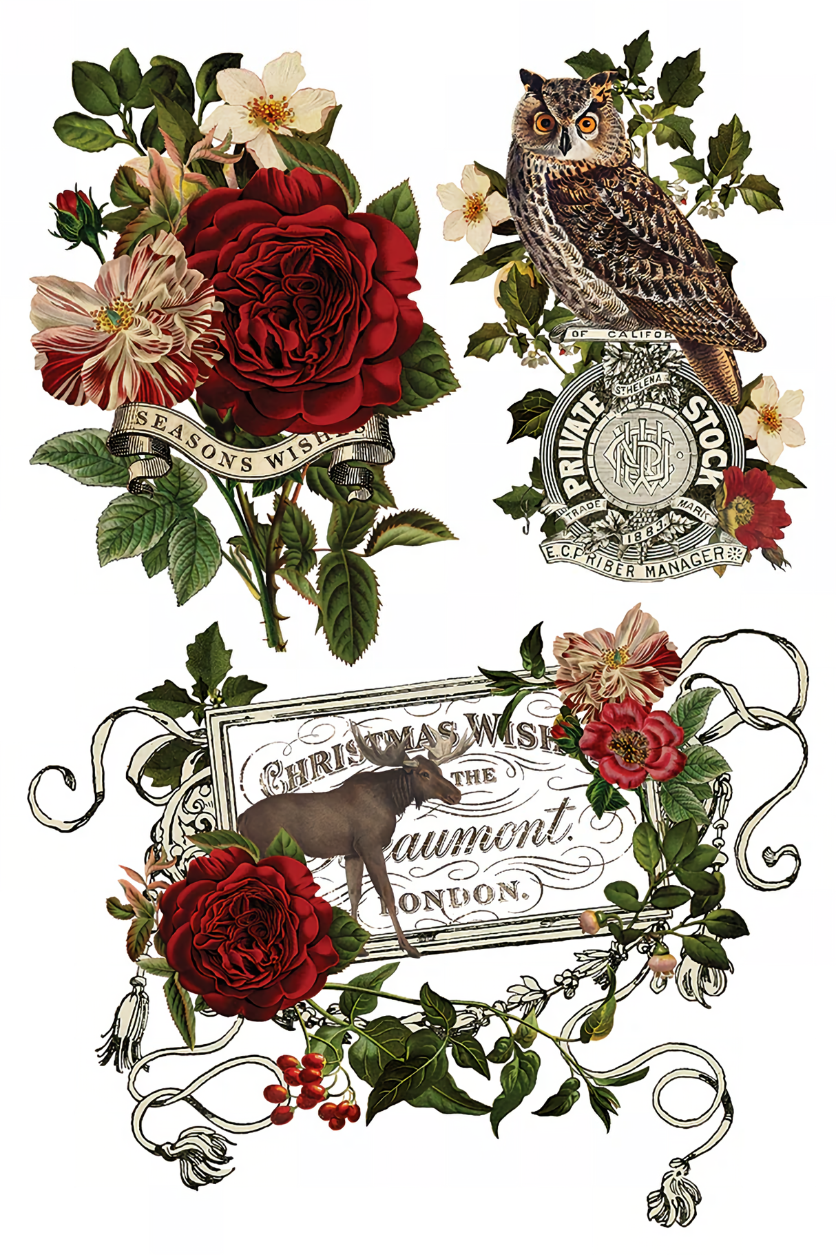 Stag Tavern (2026 Limited Release) Transfer by IOD - Iron Orchid Designs