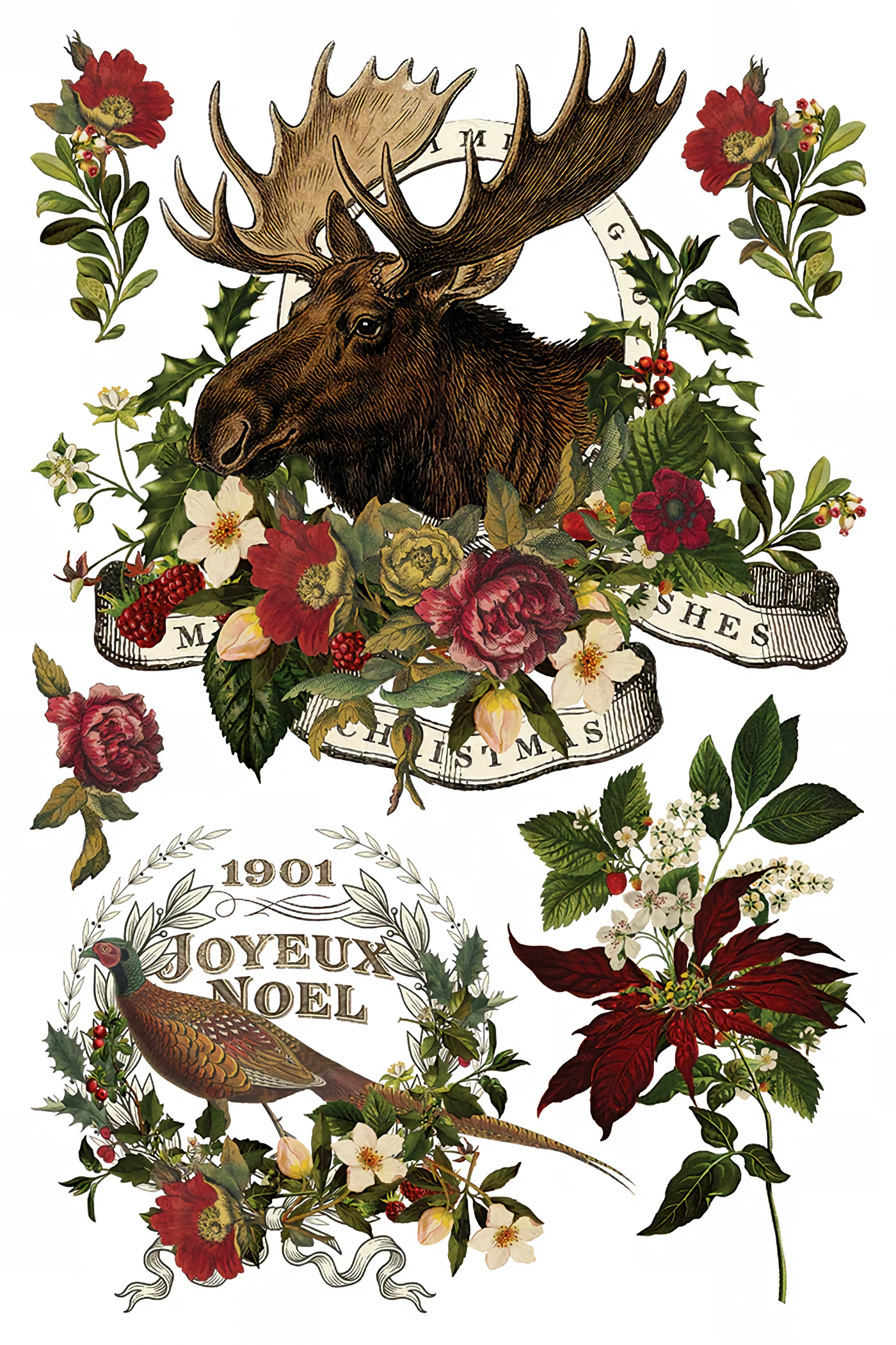 Stag Tavern (2026 Limited Release) Transfer by IOD - Iron Orchid Designs