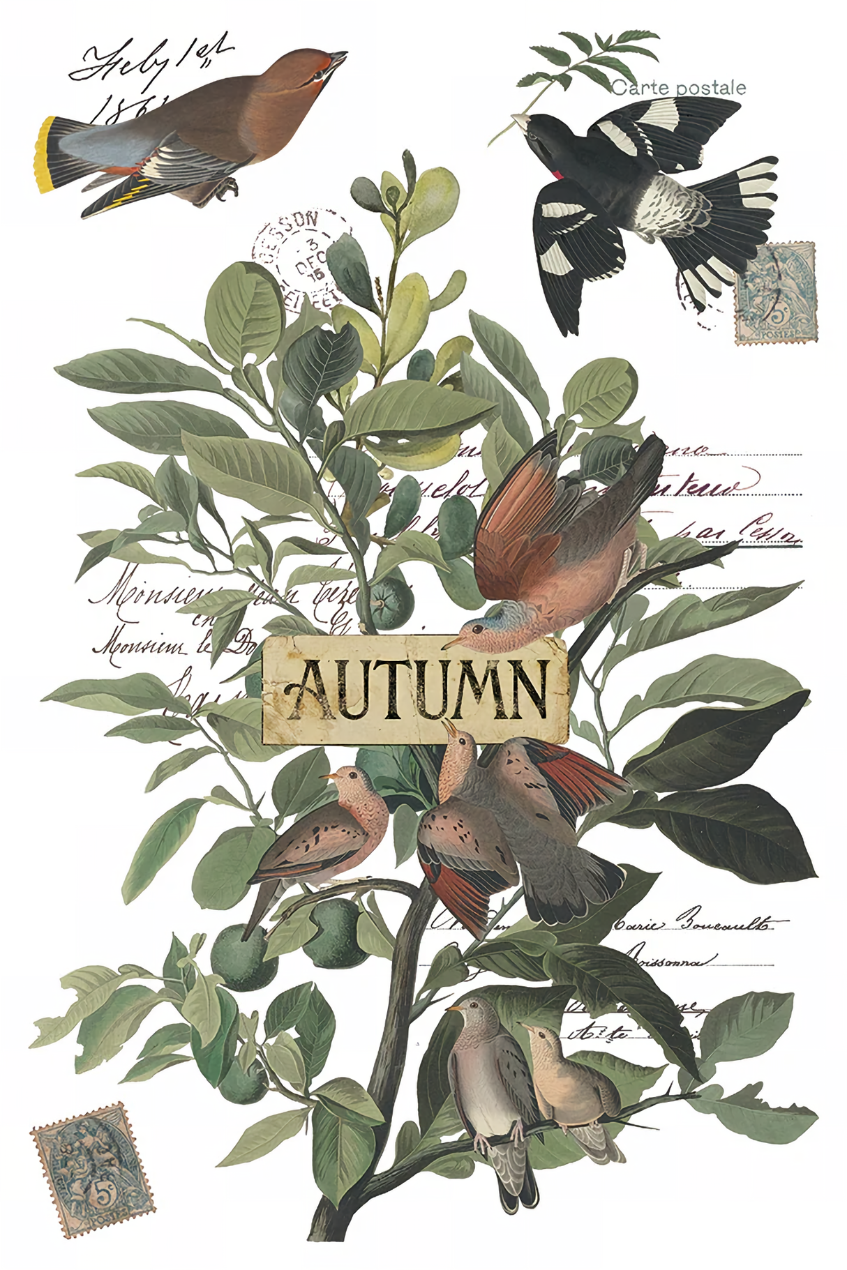 Winter's Calling (2026 Limited Release) Transfer by IOD - Iron Orchid Designs