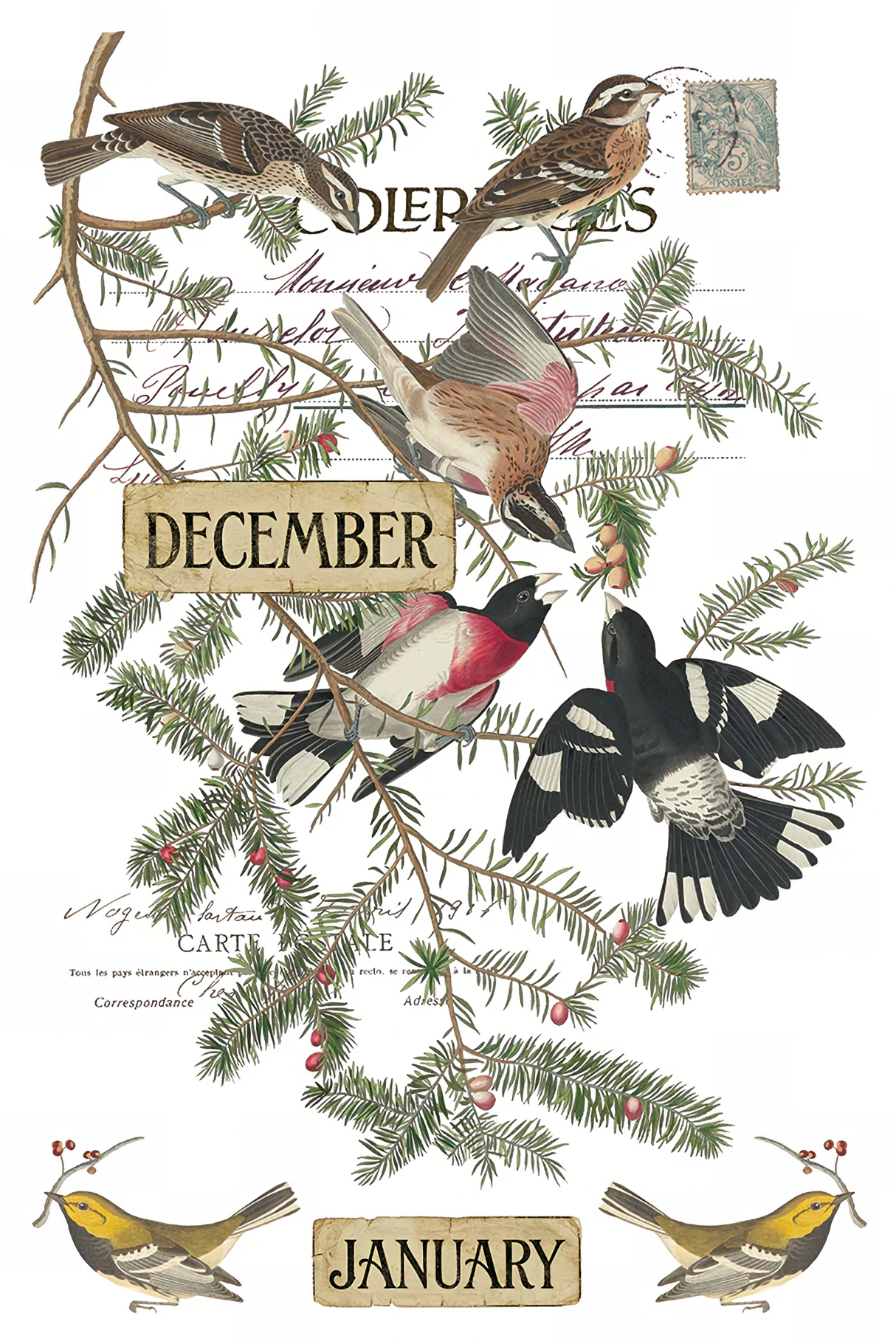 Winter's Calling (2026 Limited Release) Transfer by IOD - Iron Orchid Designs