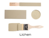 Lichen Fusion Mineral Paint displayed with swatch, brush, and dish.