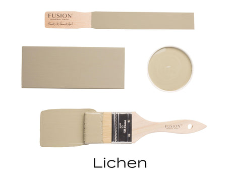 Lichen Fusion Mineral Paint displayed with swatch, brush, and dish.