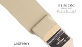 Paintbrush with a Lichen Fusion Mineral Paint swatch, all-in-one acrylic by Fusion Mineral Paint.