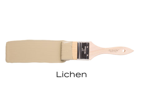 Paintbrush with Fusion Mineral Paint Lichen all-in-one acrylic on plain white background.