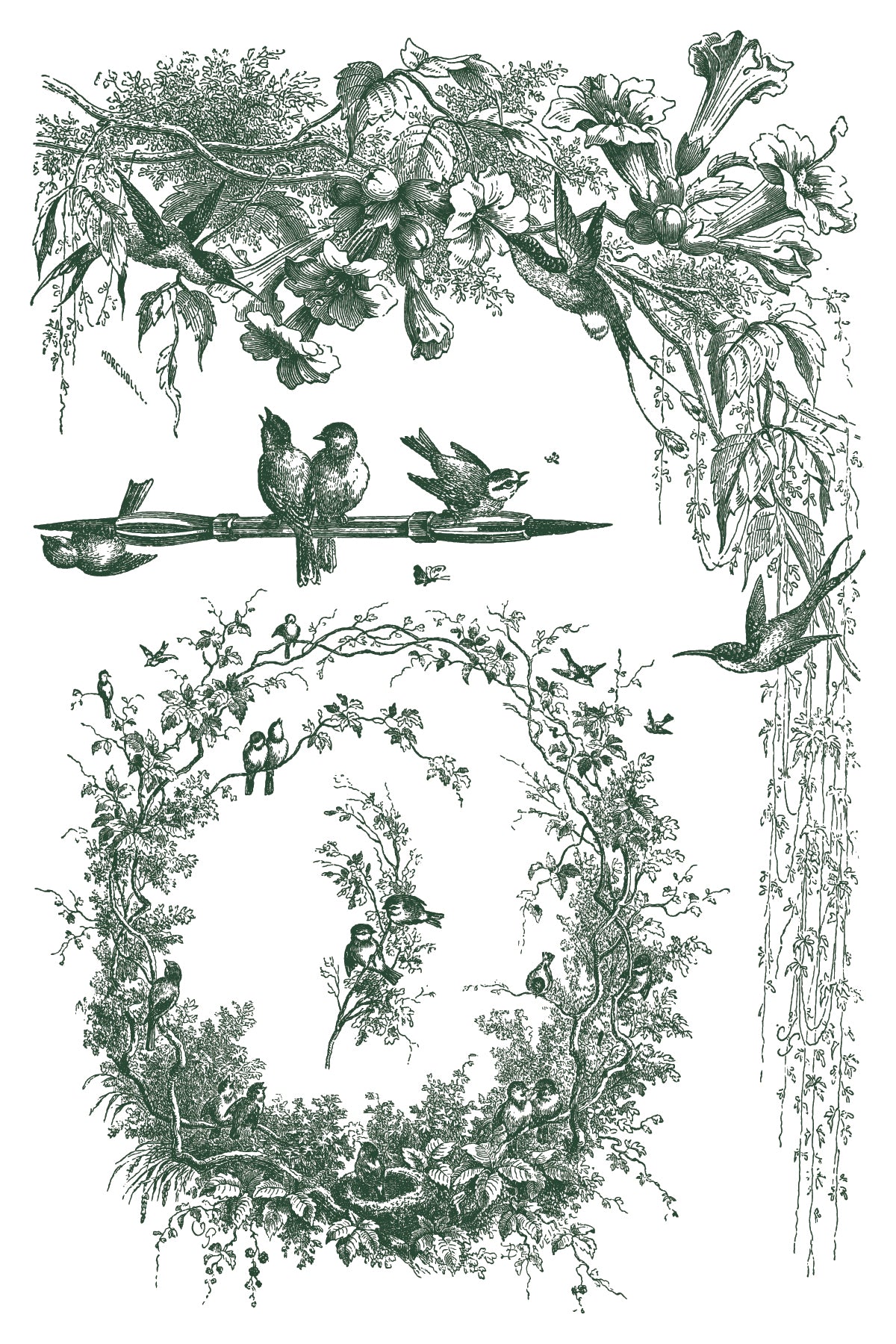 Little Lark Paint Inlay by IOD featuring vintage bird illustrations in leafy frames for décor or toile-style projects.