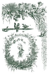 Little Lark Paint Inlay by IOD featuring vintage bird illustrations in leafy frames for décor or toile-style projects.