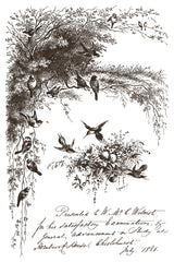 Birds in trees artwork using Little Lark Paint Inlay by IOD above handwritten July 1881 exam note.