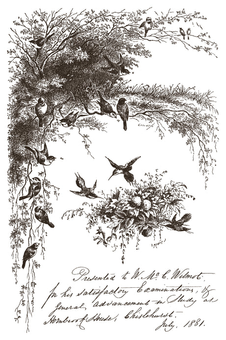 Birds in trees artwork using Little Lark Paint Inlay by IOD above handwritten July 1881 exam note.