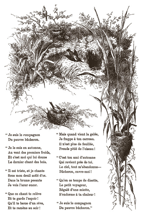 Little Lark Paint Inlay by I.O.D. with birds, nests, reeds, and French poem in black-and-white toile style.