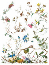 Lost Garden Transfer by I.O.D. botanical artwork, suitable for pairing with vintage furniture.