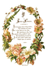 Lover of Flowers Transfer by IOD - Iron Orchid Designs @ The Painted Heirloom