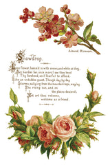 Lover of Flowers Transfer by IOD - Iron Orchid Designs @ The Painted Heirloom