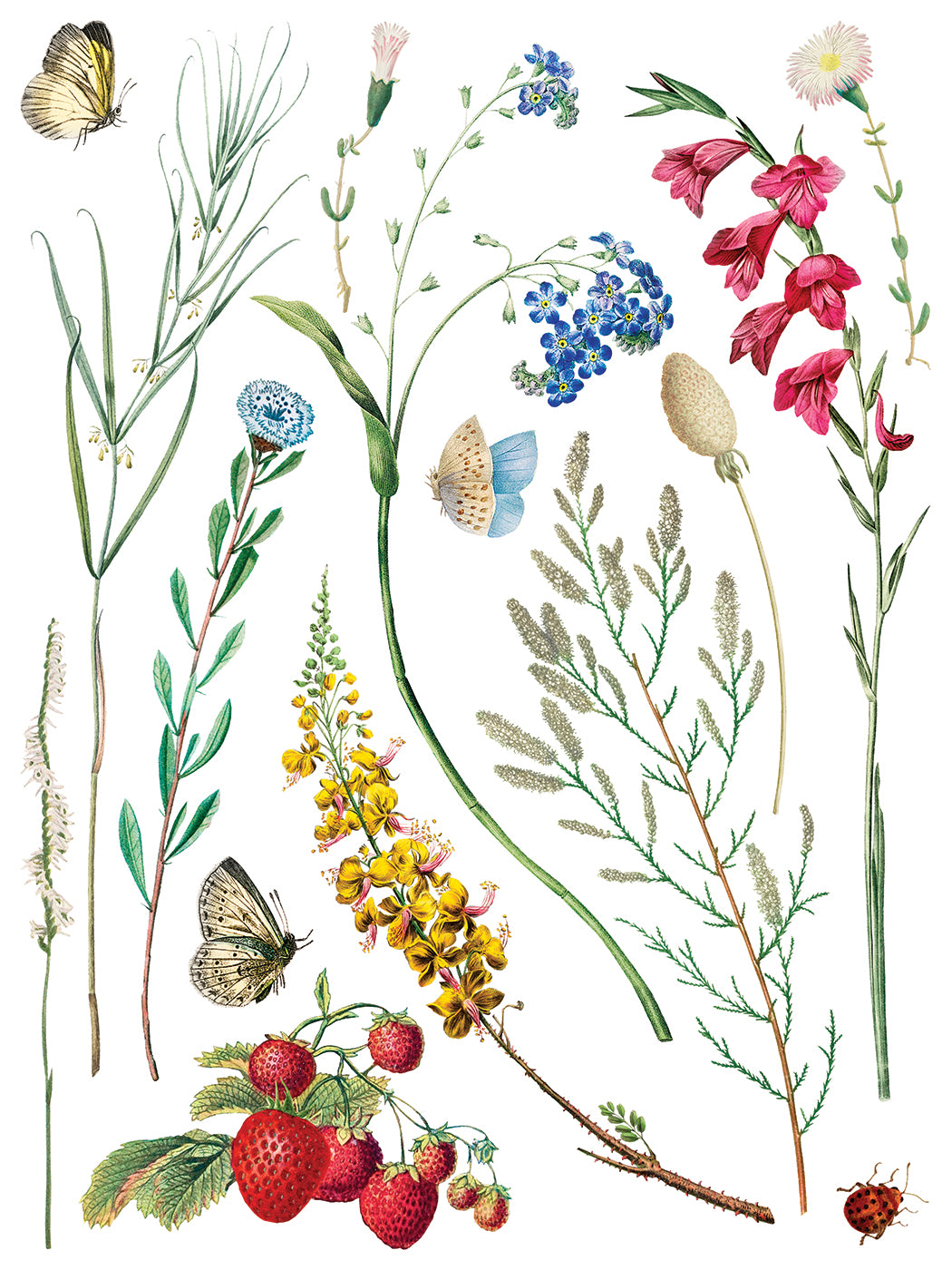 Marché des Fleurs Transfer by IOD with wildflowers, butterflies, strawberries, and a ladybug in French style.