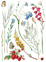 Marché des Fleurs Transfer by IOD with wildflowers, butterflies, strawberries, and a ladybug in French style.