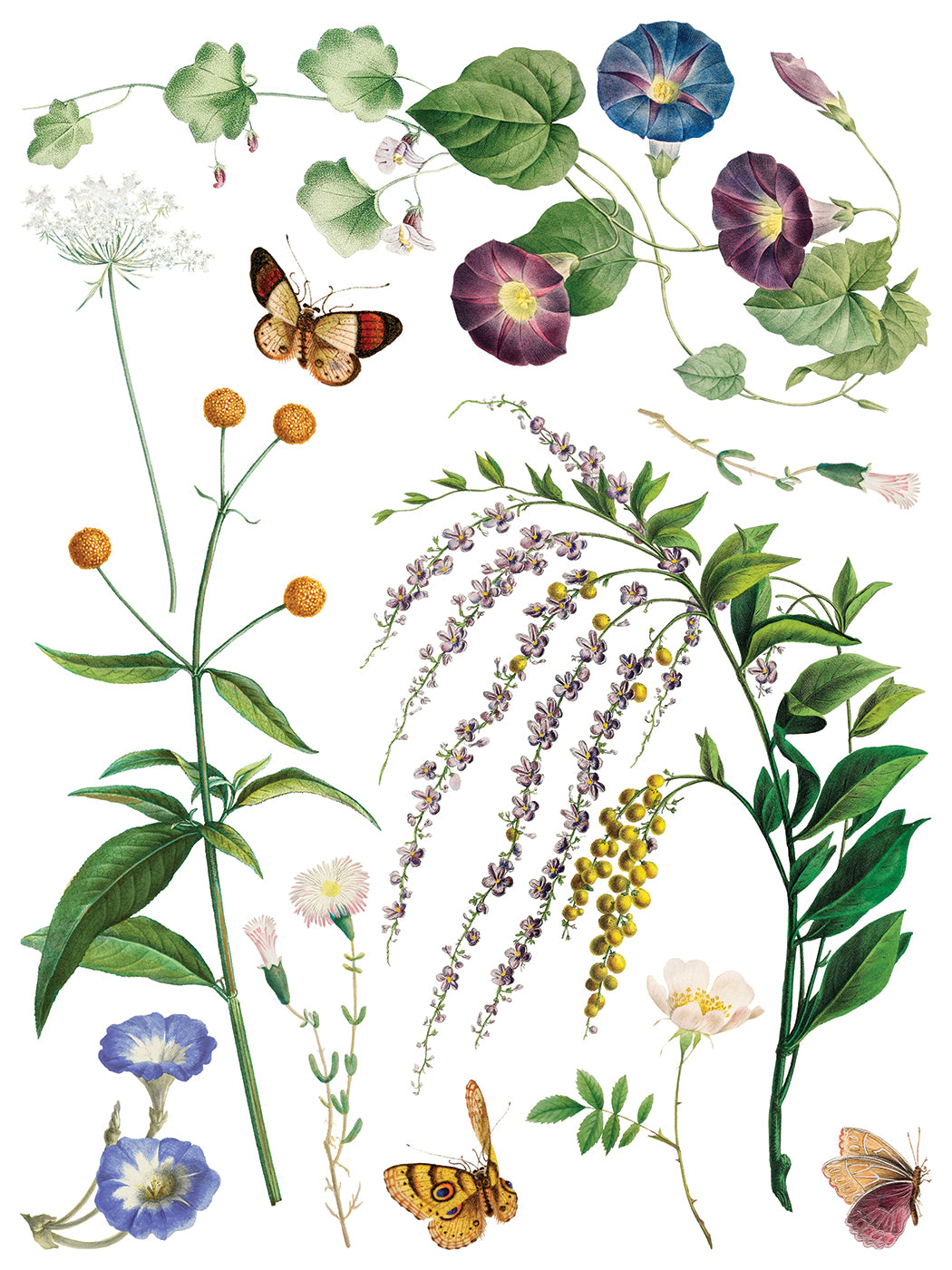 Marché des Fleurs Transfer by IOD with wildflowers, green leaves, and butterflies in a French botanical style.