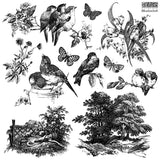 Meadowlark Stamp by IOD with black and white drawings of birds, butterflies, trees, and flowers.