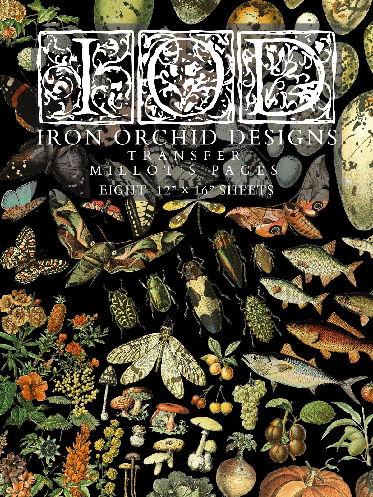 Collage of insects, fish, and plants with “Millot’s Pages Transfer by I.O.D.” text overlaid.