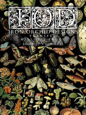 Collage of insects, fish, and plants with “Millot’s Pages Transfer by I.O.D.” text overlaid.