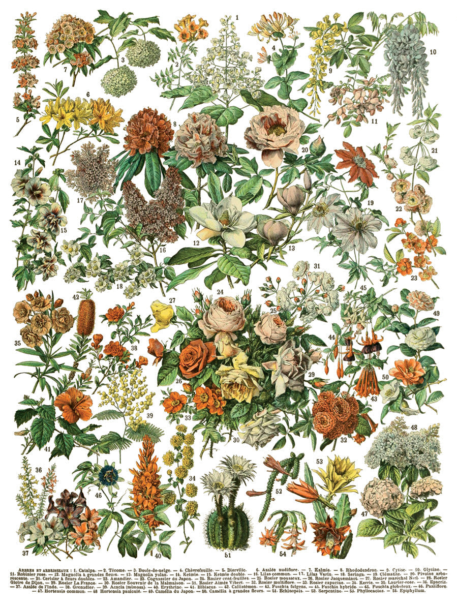I.O.D. Millot’s Pages Transfer, vintage-style print featuring 61 labeled flowering plants on a white background.