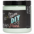 DIY Paint Co. Mint Chip DIY Paint in a jar with a black label and white screw-on lid.
