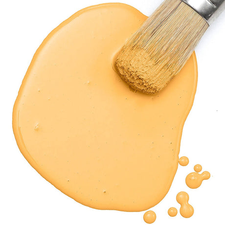Paintbrush on Mod Mustard Milk Paint by Fusion Mineral Paint, with paint droplets visible on a white surface.