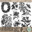 Nature’s Etchings Stamp by I.O.D., black and white botanical collage design.