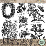 Nature’s Etchings Stamp by I.O.D., black and white botanical collage design.