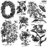 Nature’s Etchings Stamp by I.O.D. with vintage floral and butterfly designs, includes scientific names.