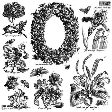 I.O.D. Nature’s Etchings Stamp by Iron Orchid Designs in packaging, product name and brand clearly visible.