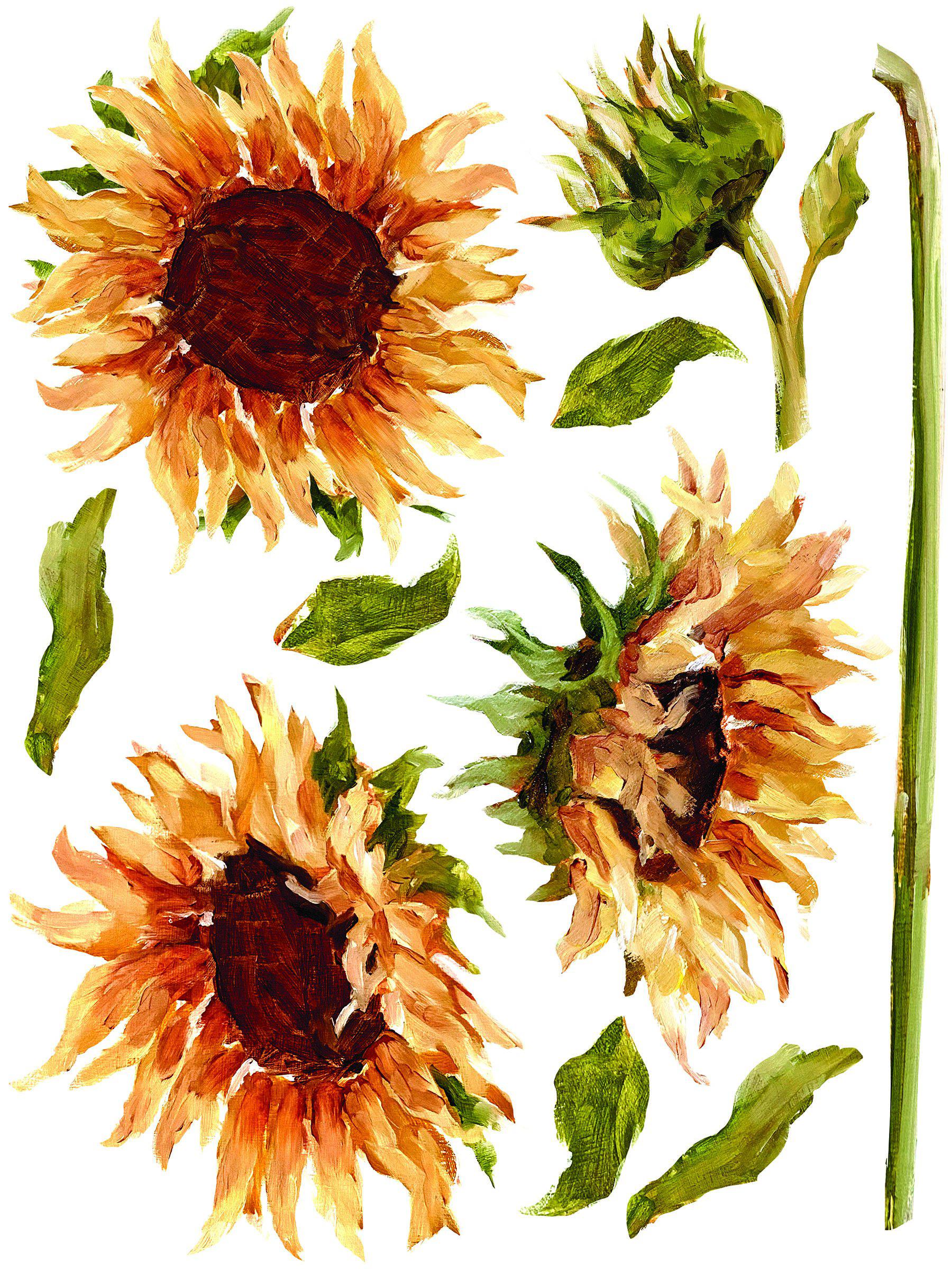 Painterly Florals Decor Transfer Set by IOD - Iron Orchid Designs @ Painted Heirloom
