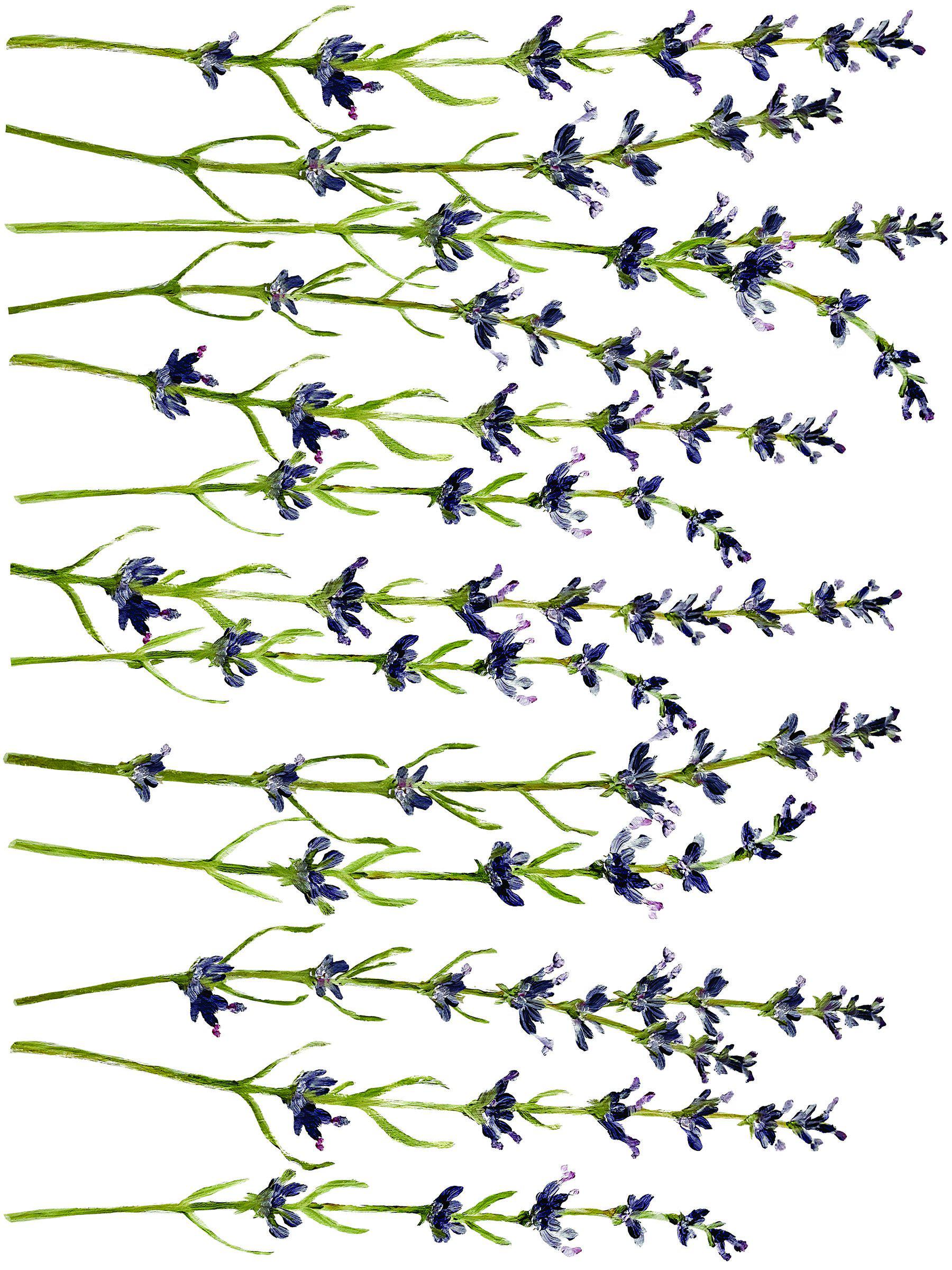 Painterly Florals Decor Transfer Set by IOD - Iron Orchid Designs @ Painted Heirloom